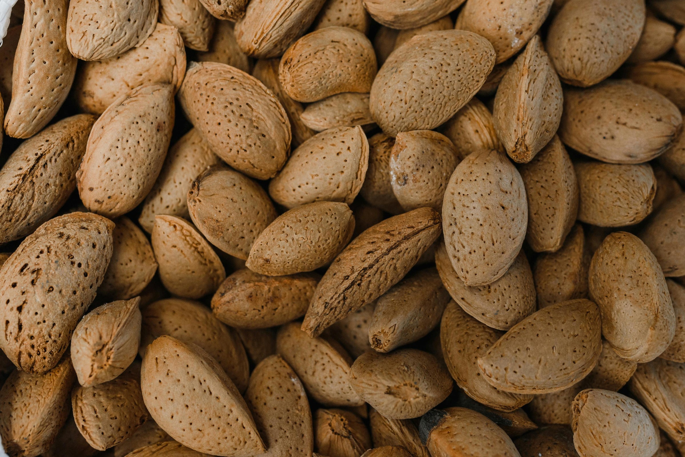 badam