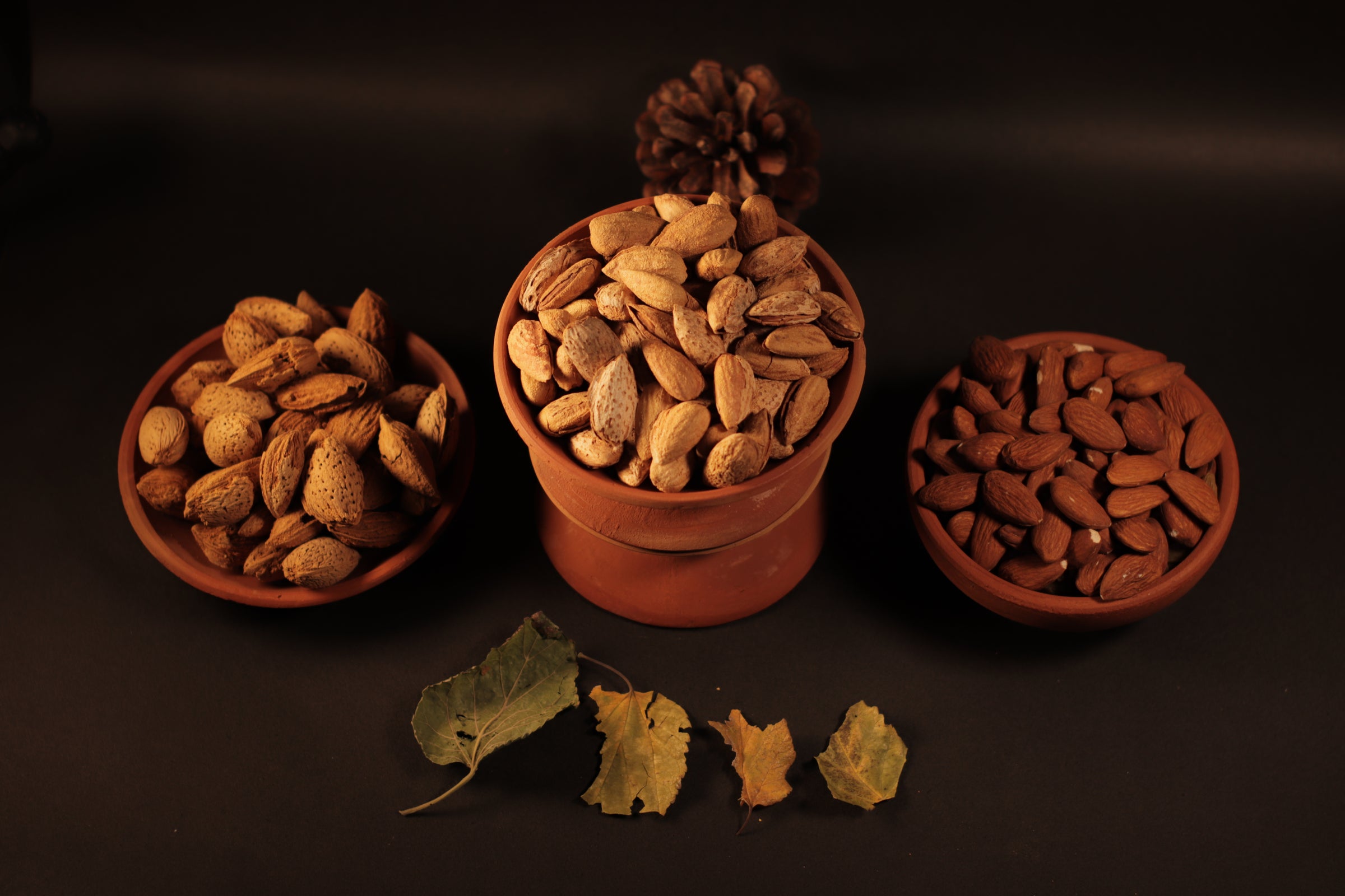 sonica dry fruits store